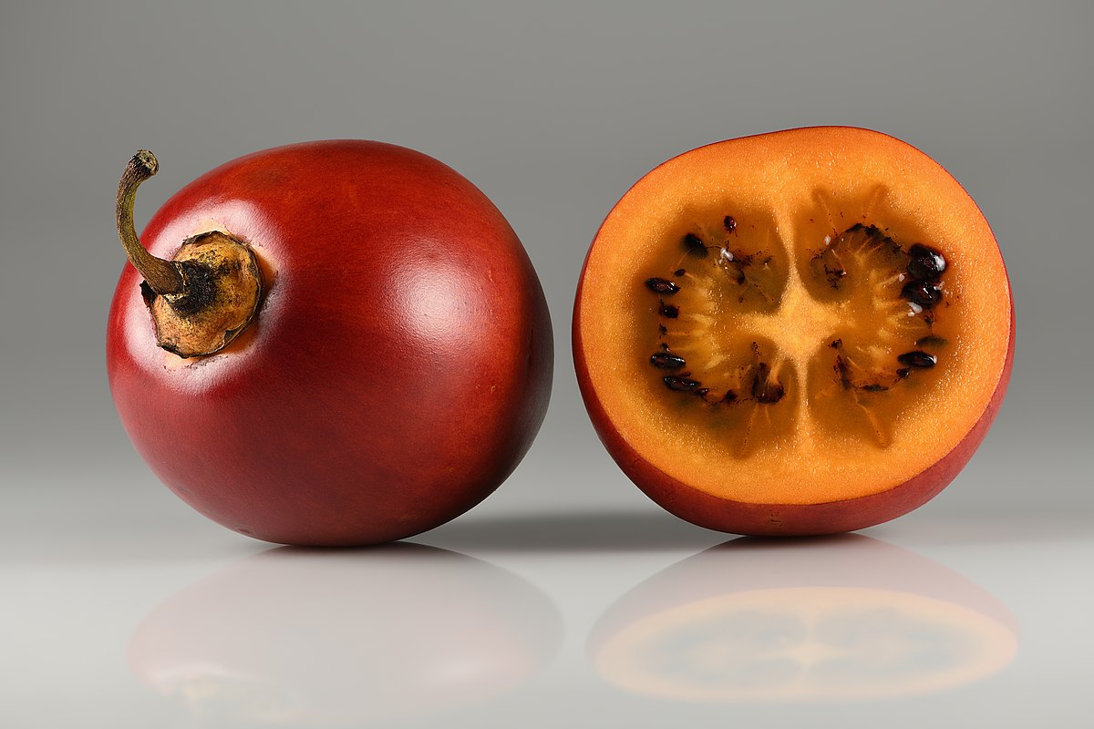 Tomate arbol